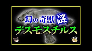 【ゆっくり解説】途絶えた進化の系譜…1800万年前の幻の奇獣「デスモスチルス」の謎を解説 絶滅した古代生物の正体とは。 mp4