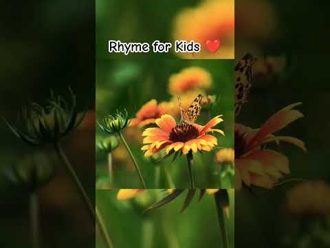Butterfly Cartoon story for kids 🦋      #titliudibusmeinchadi #titliudinewversion #cartoon #kids#4k
