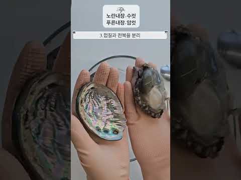 활전복 손쉽게 손질하는 방법 #완도보이 #전복 #손질법