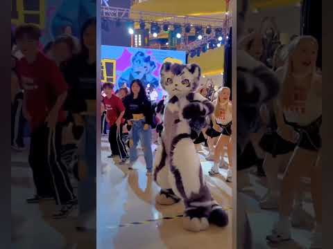 Amazing cat 😍👏🏻 #dance #cat