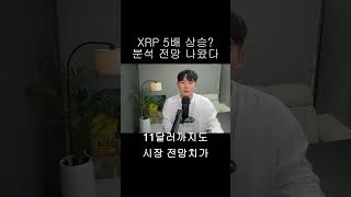 [리플 XRP] XRP 5배 상승? 분석 전망 나왔다!
