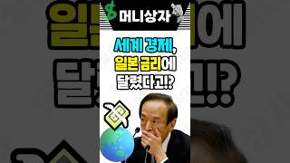 현시점 일본이 중요한 이유(feat.금리인상)