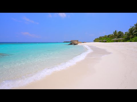 Paradise Found: Turquoise Ocean Water and Wild Beach! Maldives 4K ULTRA HD