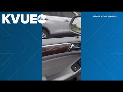 Tiny frog scares Florida driver