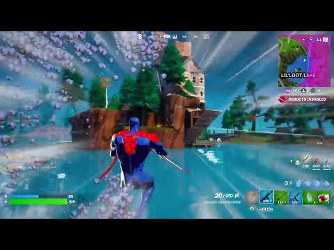 Fortnite Stream