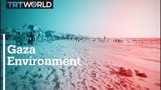 Israeli assault on Gaza leads to environmental crisis