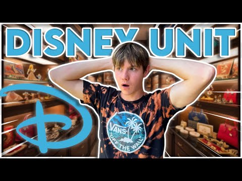I Bought A RICH DISNEY COLLECTORS Storage Unit!!