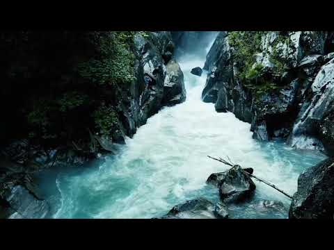 抒情音樂/輕音樂