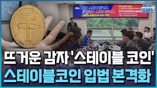 원화 스테이블코인 나오나…디지털자산법 발의 / 한국경제TV뉴스
