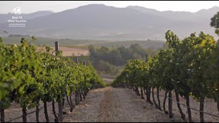 Best of Wine Tourism & Wine Tourism Ambassador Awards 2025