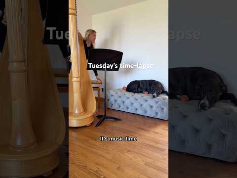 Tuesday’s time-lapse 🎶