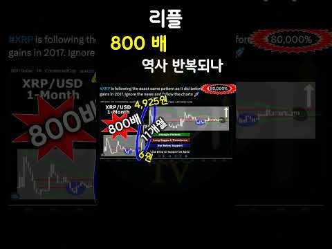 리플.. 2025년 어떻게 될까 #리플 #비트코인 #코인