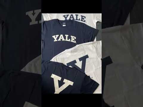 Her aesthetic because she goes to Yale university ✨ #shorts #yaleuniversity #university #aesthetic