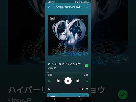 Screen Recording 20250219 164835 Spotify