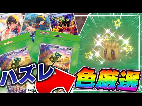 スペシャルジャンボカードセットオーガポンにSRが無ければ全て色厳選！【パック開封】【ポケモンSV】