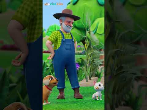 🐄 Old McDonald Had a Farm - NEW! English 3D  Animal Rhymes  | Risa Risa Kids Song You tube Shorts
