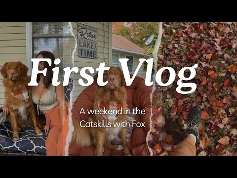 A Weekend In The Catskill Mountains With Fox The Toller | autumn vlog, waterfall hike, & cozy vibes