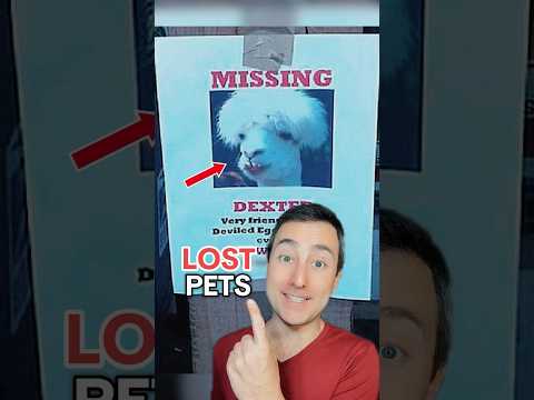 Funny Lost Pet Signs #shorts