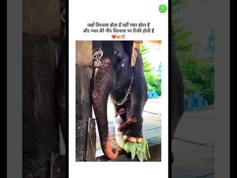 #shortvideo #subscribe