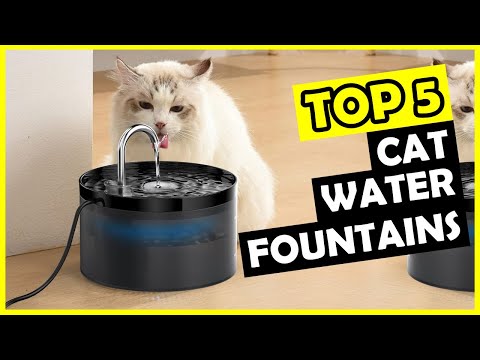TOP 5: Best Cat Water Fountain of 2025