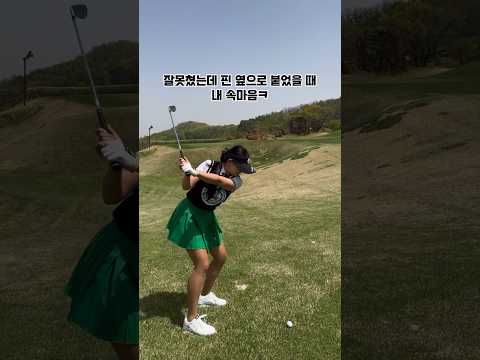 꾜둥이들도? 네, 저도요.
