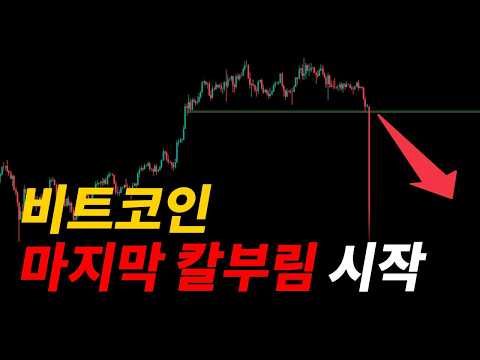 비트코인 시즌 종료..?