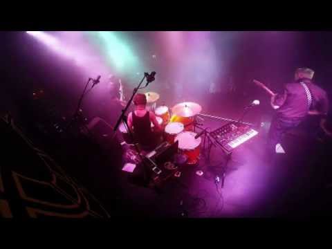 NEXO SHAPE  - FOX DELUSION