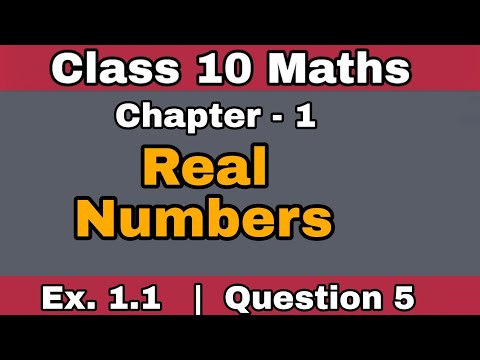Class 10 Real Numbers | Exercise 1.1 | Question No 5 | NCERT