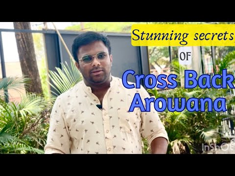 Want to Keep Your Crossback Arowana for a Decade or More?💯 Watch This! 💯 Stunning Secrets !!!!🐡 🦈 🐬