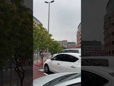 It was raining in dubai today 🌧️ #shorts #dubai