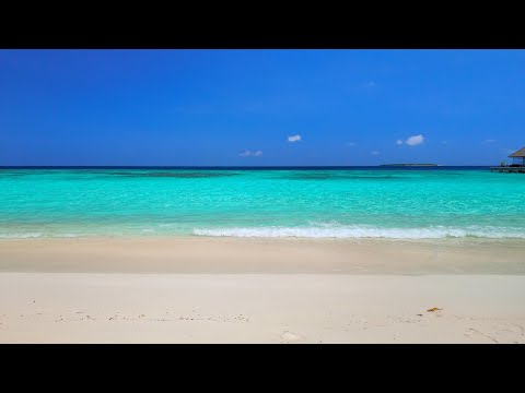 Turquoise Waves 🏝 Best Ocean Sounds for Rest, Relaxation and Sleep