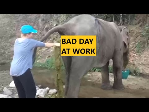 Bad Day at Work...? 2020 Part 16 - Best Funny Work Fails and Wins