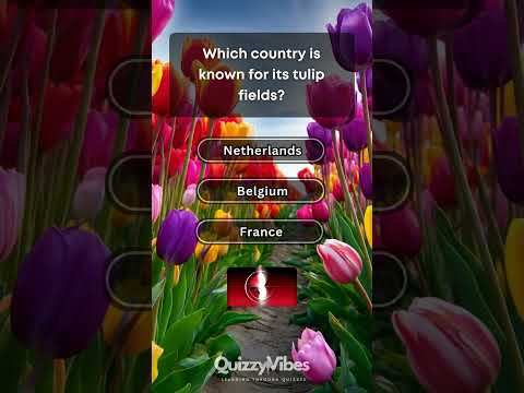 🌊🌷 World Geography Quiz! Oceans, Islands & Continents! 🇦🇶