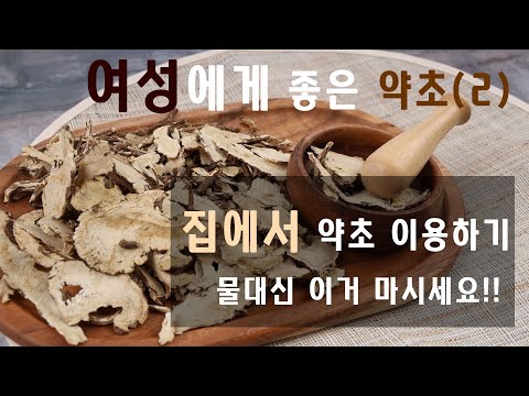 당귀 효능 알아보고 당귀차 끓이는 법까지! 집에서 약초로 건강관리 하기!