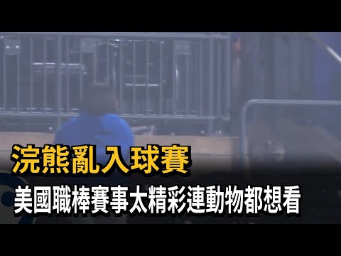 美國職棒紐約大都會對匹茲堡海盜 浣熊也來湊熱鬧－民視新聞